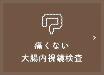 痛くない大腸内視鏡検査